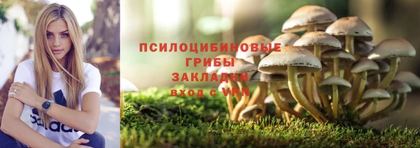 СК Алзамай