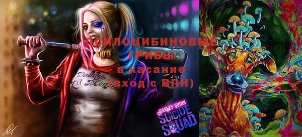 2c-b Абинск